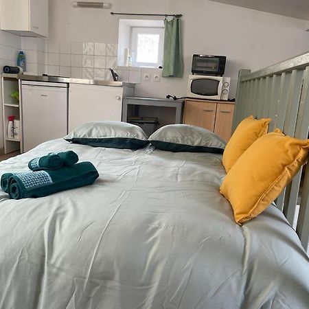 Apartmán Face Au Canal Du Midi Carcassonne Exteriér fotografie