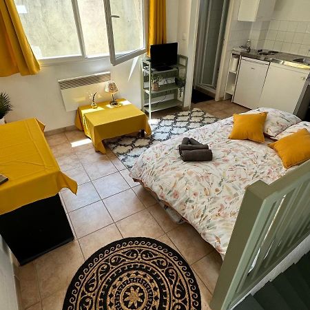 Apartmán Face Au Canal Du Midi Carcassonne Exteriér fotografie