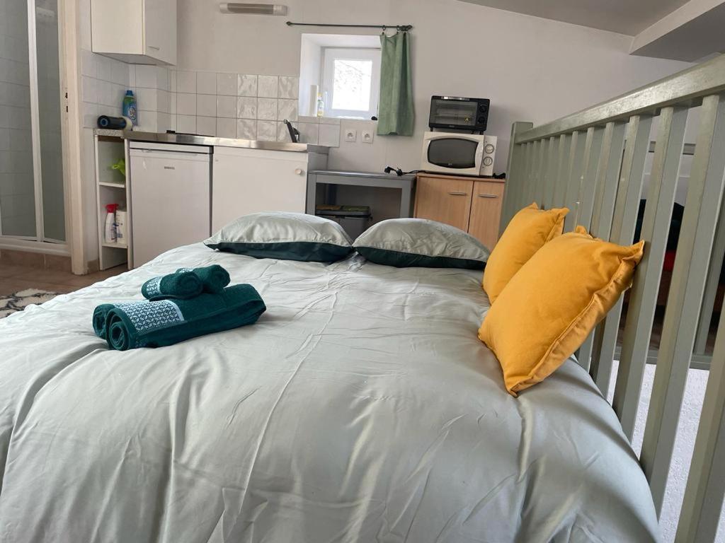 Apartmán Face Au Canal Du Midi Carcassonne Exteriér fotografie
