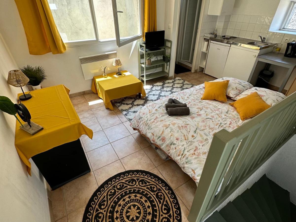 Apartmán Face Au Canal Du Midi Carcassonne Exteriér fotografie