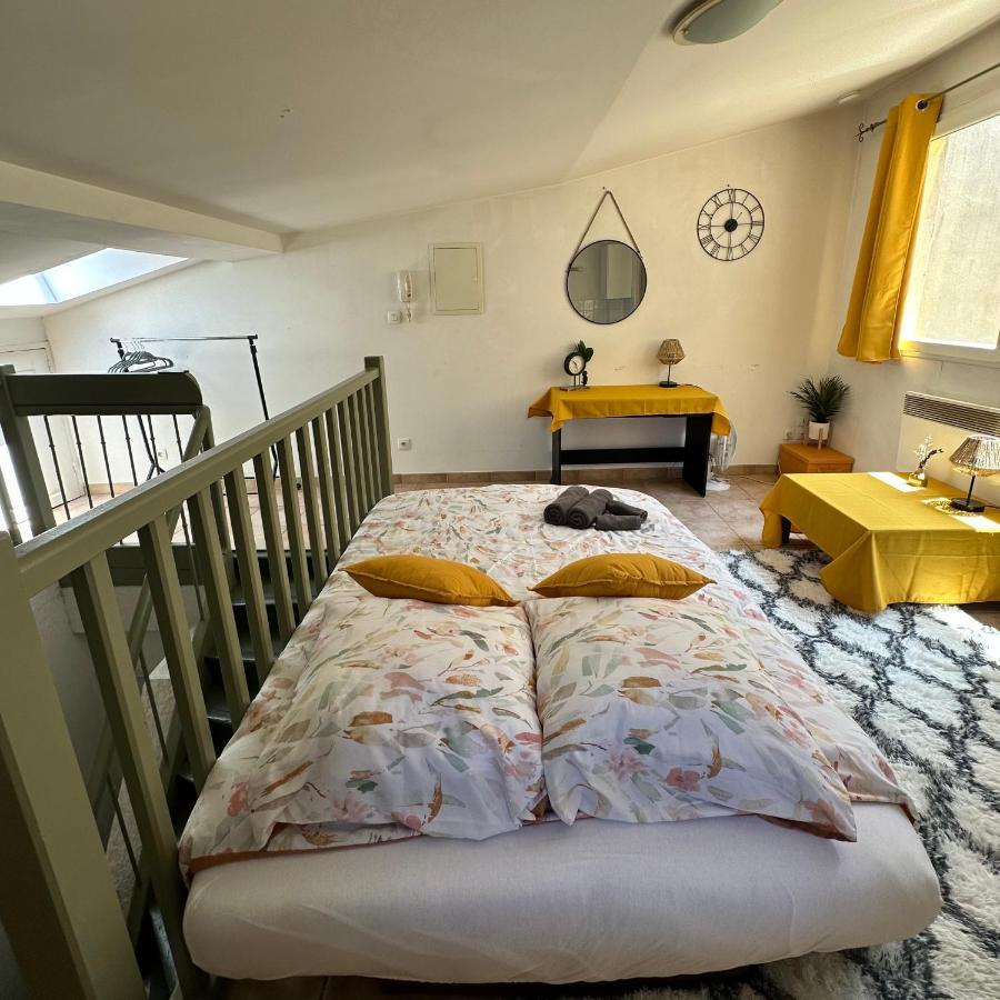 Apartmán Face Au Canal Du Midi Carcassonne Exteriér fotografie