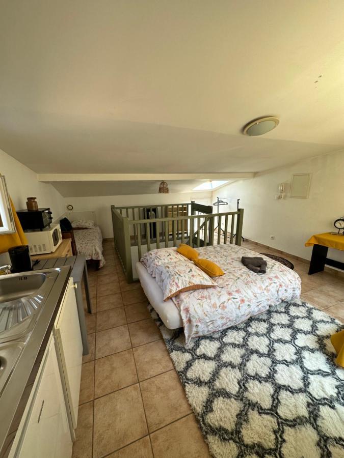 Apartmán Face Au Canal Du Midi Carcassonne Exteriér fotografie